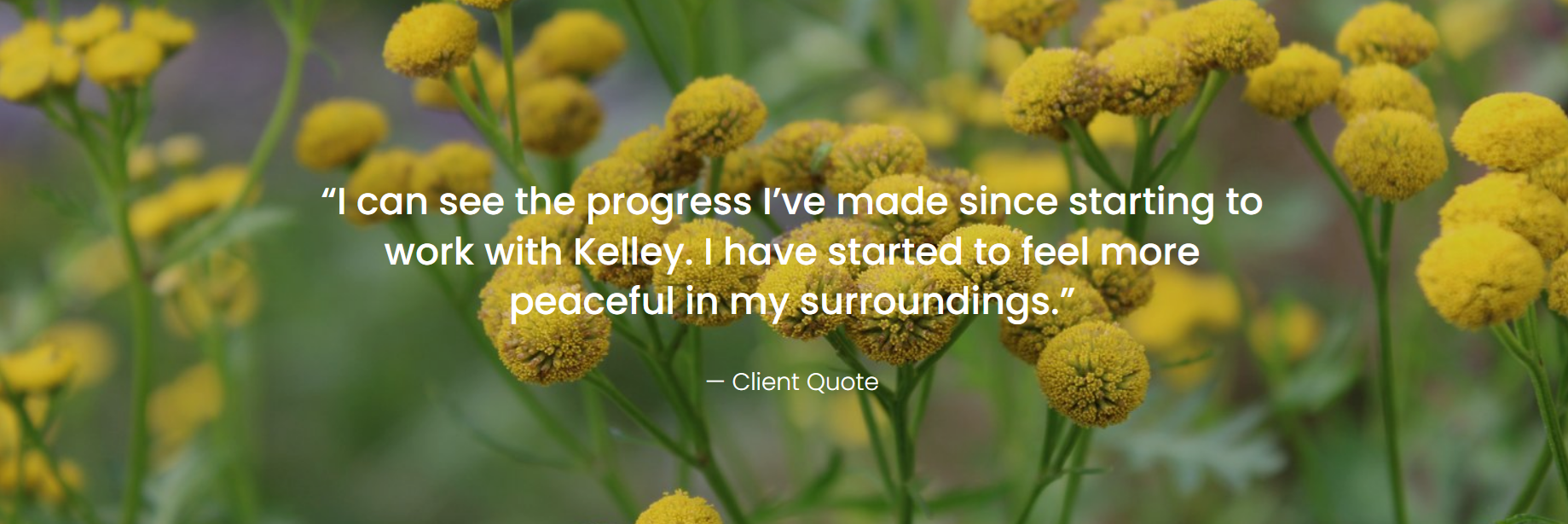 Client Quote